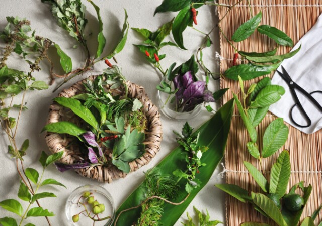 自分へのご褒美に沖縄の離島へゆったり旅！1日1名限定♡ハーブとスパで整う極上の癒やし時間