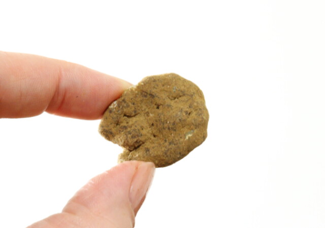 ダイソーで見つけたら迷わずカゴへ！「お得すぎるでしょ…」後から気づいて即買い足したグルメ