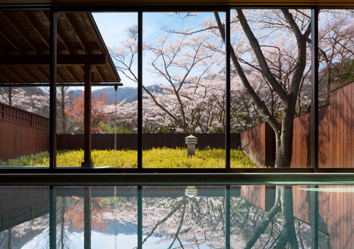 今年のお花見は鬼怒川で！露天風呂から30本の桜を独り占め！「花見温泉滞在」