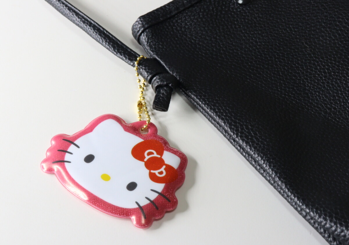 ダイソーの新作が凄い！「ただのチャームじゃないの？！」ダサくないから毎日使えるお助けグッズ