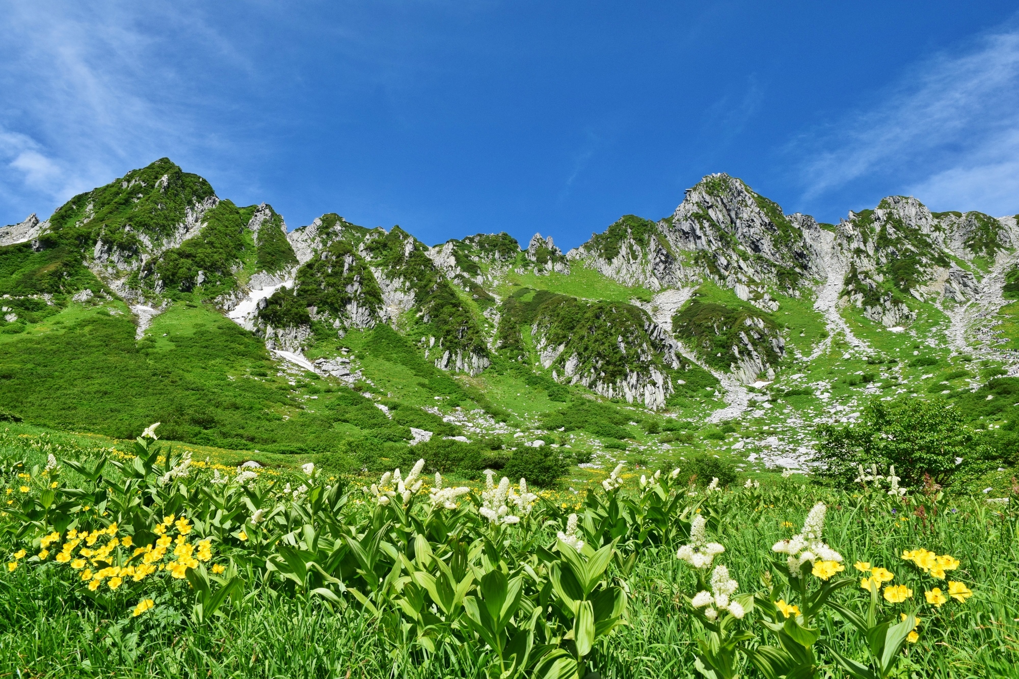 絶景の中で食べる雪解け水の限定ジェラートが最高！夏の中央アルプス・千畳敷で過ごす贅沢時間