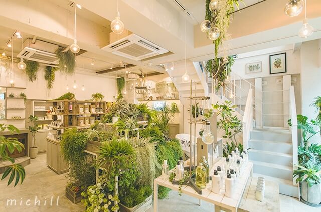 雑貨からカフェまで 緑があふれる ボタニカルライフスタイル専門店 Botanist Tokyo E Start マガジン