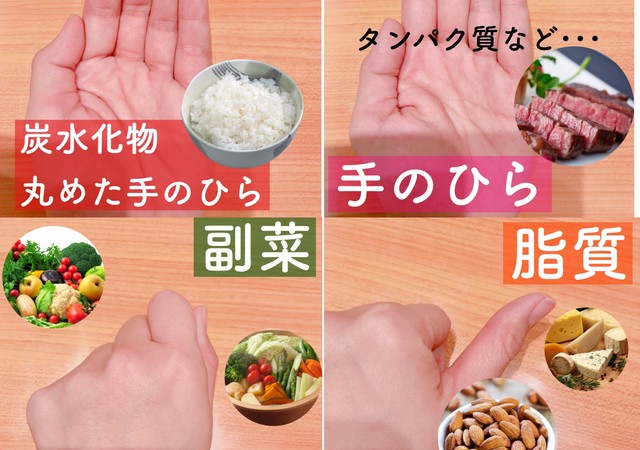 カロリー計算よりも簡単！1食分の食べる量をはかるコツ ｜E START マガジン