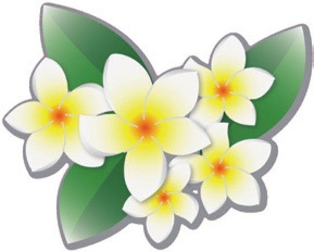 ポコチェ あなたなら プラスa の何をまとう E Start マガジン